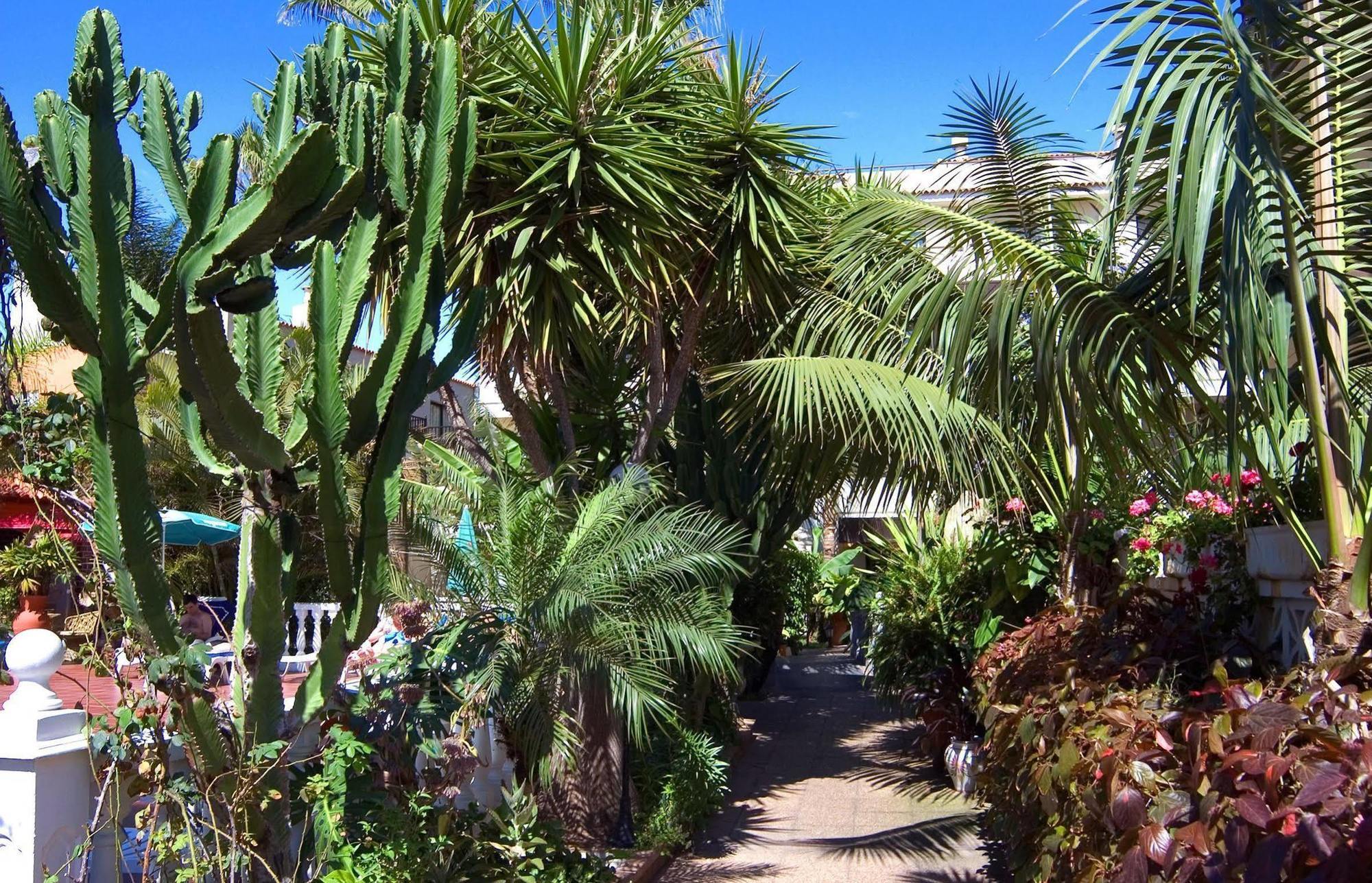 Hotel Don Manolito Puerto de la Cruz  Bagian luar foto